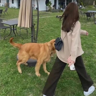 疯狂外星人