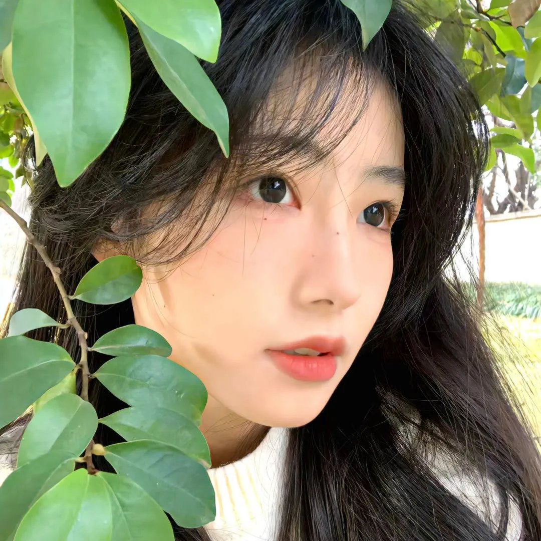二十四味暖浮生